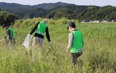 芦田川を守る日 一斉清掃の様子